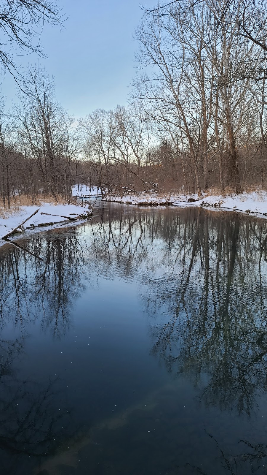 Montauk State Park Lodge | restaurant | 420 County Rd 6670, Salem, MO 65560, USA | 5735482434 OR +1 573-548-2434