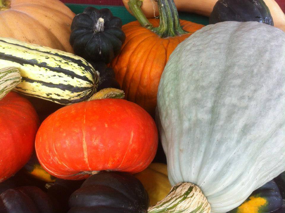 Spillers Farm Store | restaurant | 1054 Branch Rd, Wells, ME 04090, USA | 2079853383 OR +1 207-985-3383