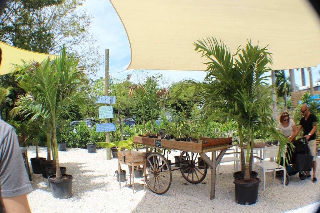 Aguacate Sanctuary of Love | restaurant | 12100 SW 43rd St, Miami, FL 33175, USA | 7867747339 OR +1 786-774-7339