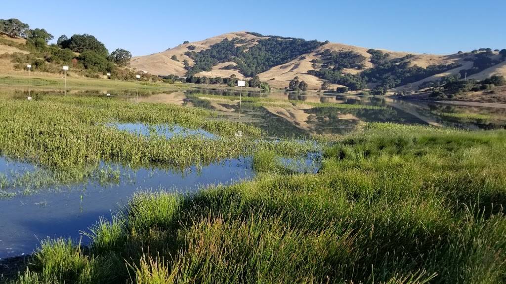 Indian Valley Golf Club | restaurant | 3035 Novato Blvd, Novato, CA 94947, USA | 4158971118 OR +1 415-897-1118