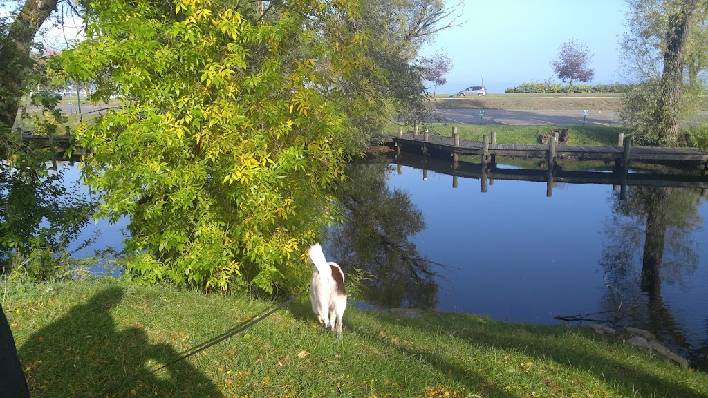 Morsels | bakery | 321 E Front St, Traverse City, MI 49684, USA | 2314211353 OR +1 231-421-1353