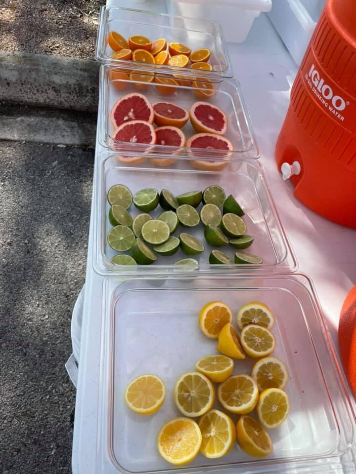 The Lemon Girls | restaurant | 11625 Bandera Rd Bandera, Farmers Market, San Antonio, TX 78250, USA | 2109208798 OR +1 210-920-8798