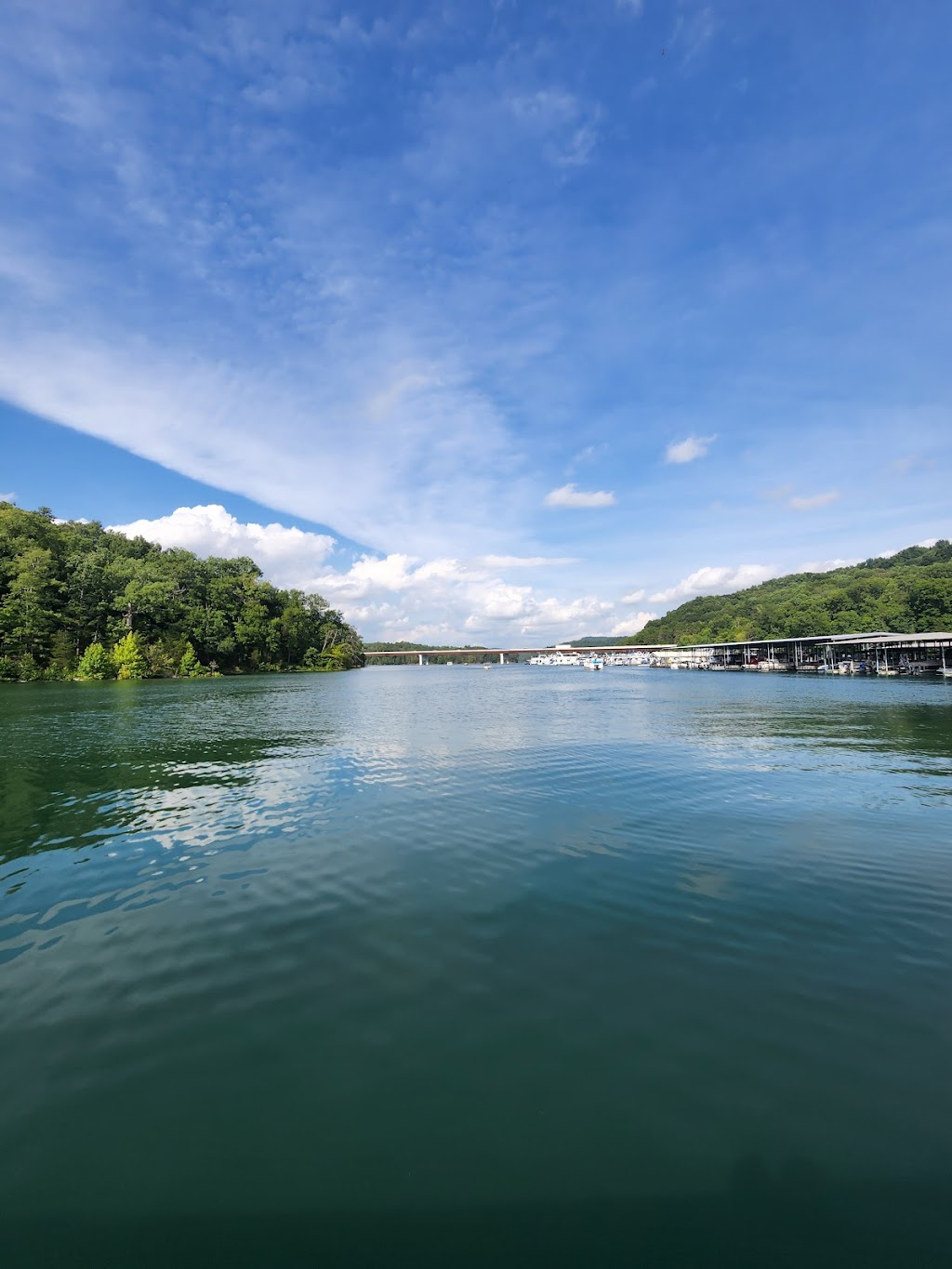 Beach Island Resort & Marina Watercraft Rentals | restaurant | 170 Beach Island Rd, Maynardville, TN 37807, USA | 8659923091 OR +1 865-992-3091