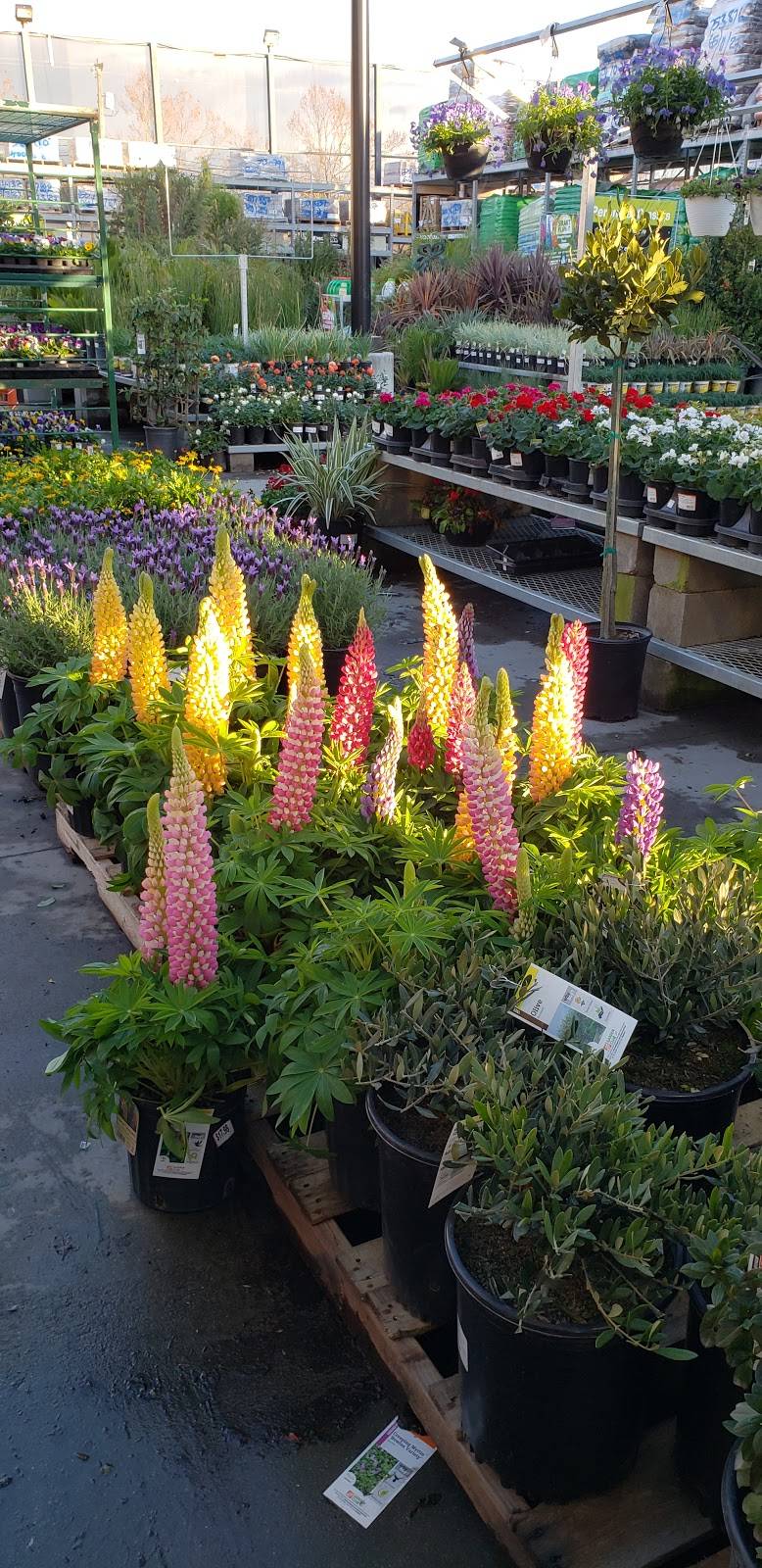 Gateway 101 | shopping mall | 1771 E Bayshore Rd, East Palo Alto, CA 94303, USA | 9252791800 OR +1 925-279-1800