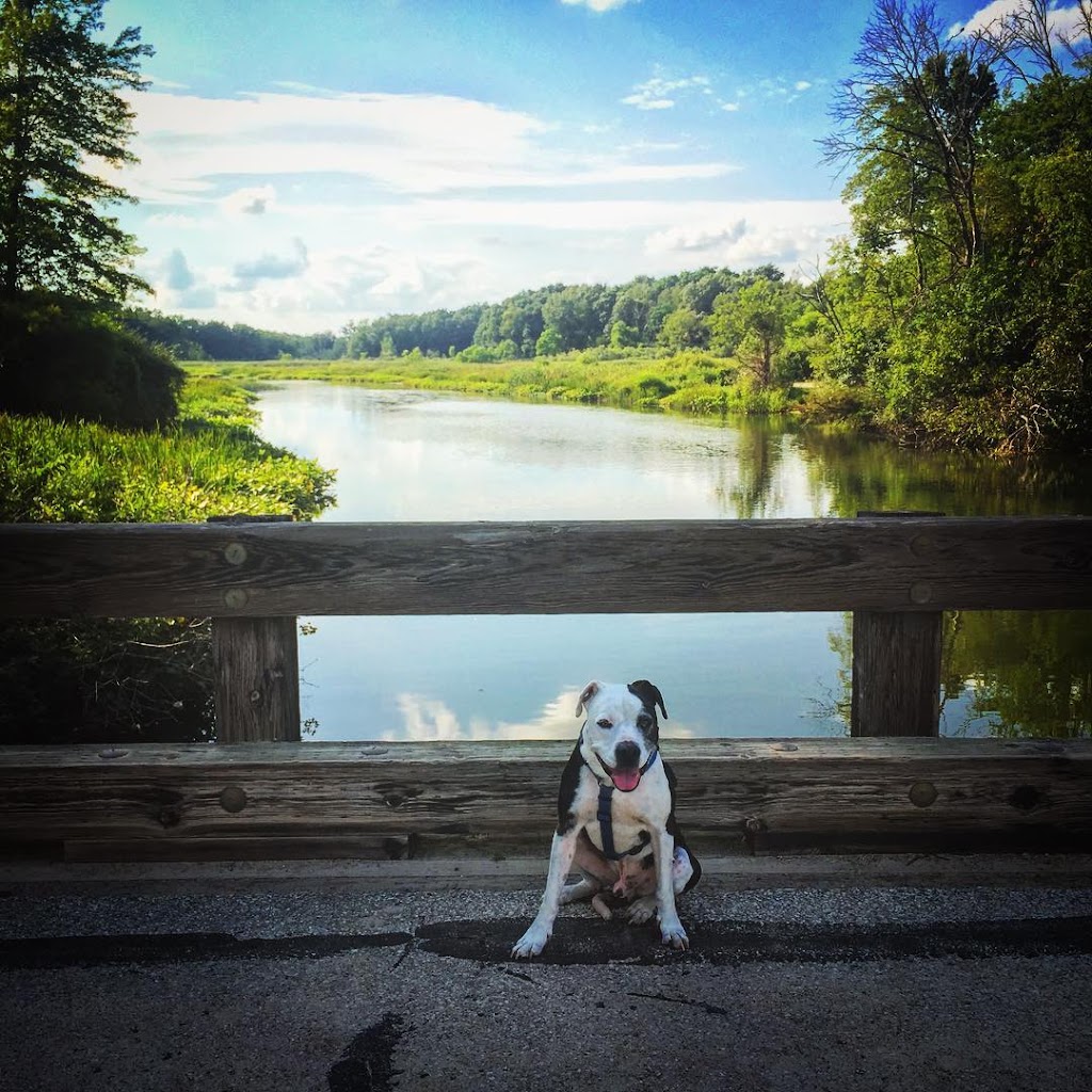 Shipshewana LaGrange County Visitors Bureau | restaurant | 350 S Van Buren St Suite H, Shipshewana, IN 46565, USA | 8002548090 OR +1 800-254-8090