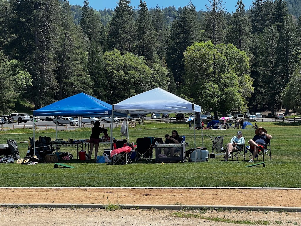 Lake Gregory Bait and Tackle | meal takeaway | 24650 San Moritz Dr, Crestline, CA 92325, USA | 9093382233 OR +1 909-338-2233