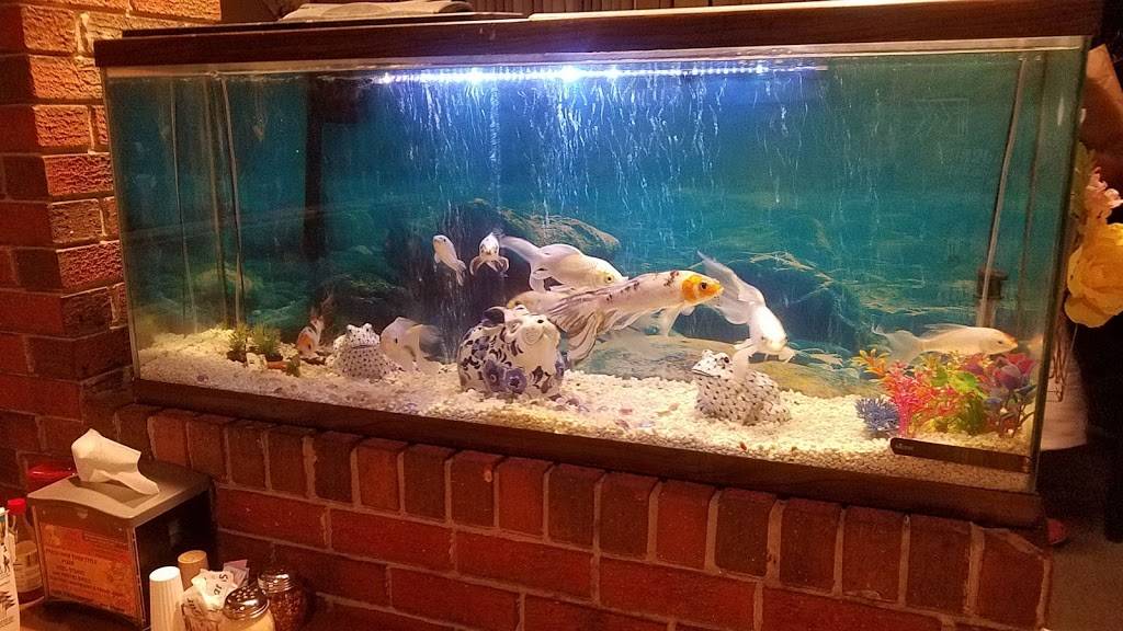 Pizza Pub | restaurant | 401 Virginia Ave, Clarksville, VA 23927, USA | 4343742080 OR +1 434-374-2080