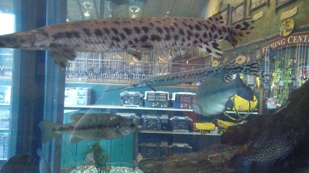 Budweiser | restaurant | Lynch St & S 12th St, St. Louis, MO 63118, USA | 3145772626 OR +1 314-577-2626