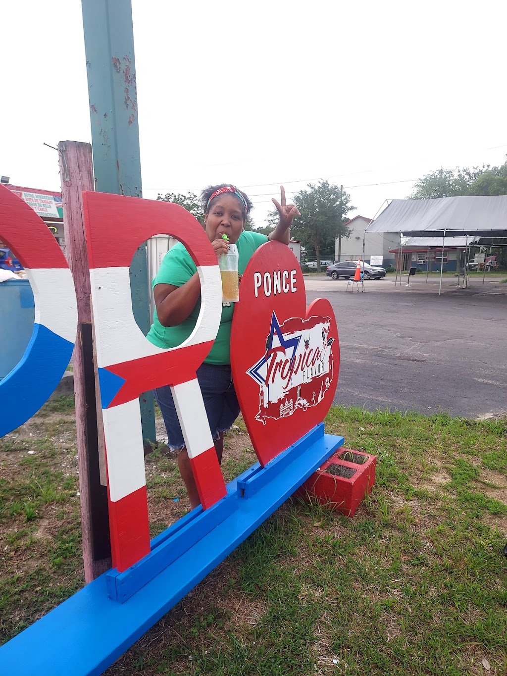 Tropical Flavor | restaurant | 1100 Hwy 17 N, Haines City, FL 33844, USA | 7879747363 OR +1 787-974-7363