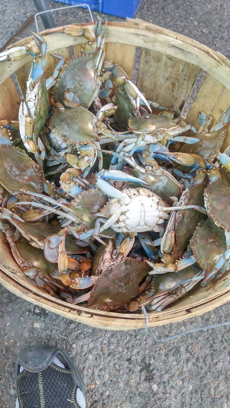 Popeyes Louisiana Kitchen | restaurant | 8121 Brook Rd, Richmond, VA 23227, USA | 8042666656 OR +1 804-266-6656