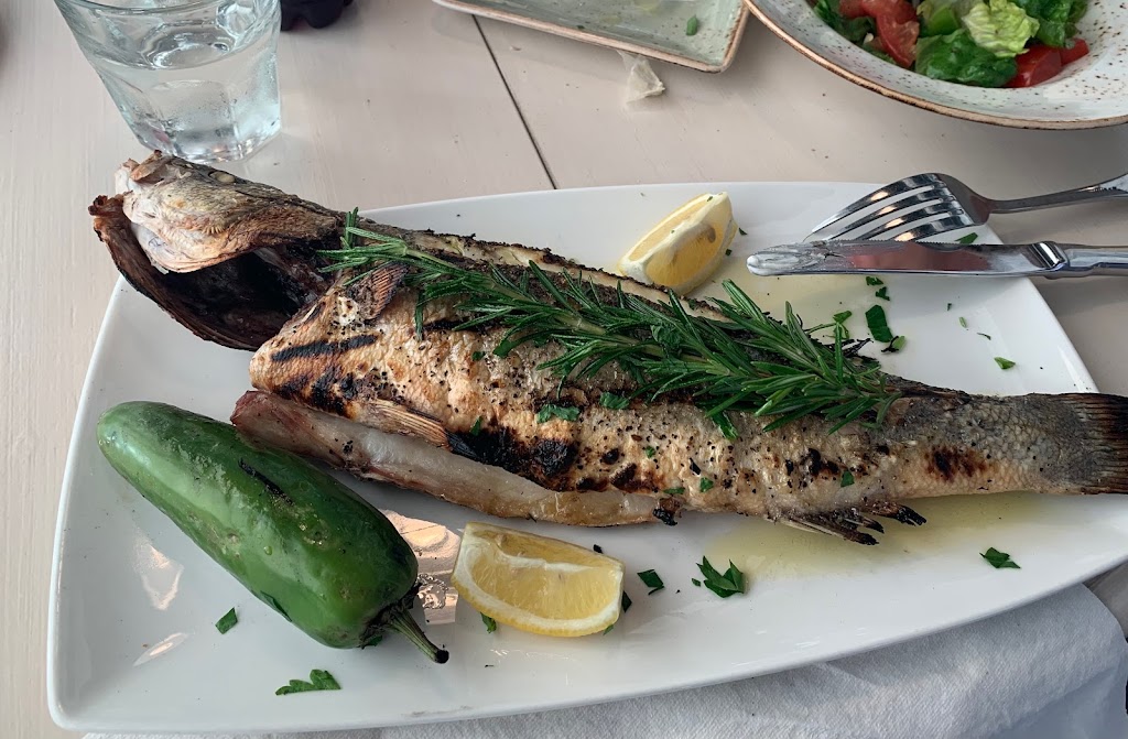 Alacati Mediterranean Restaurant | restaurant | 1403 Hallandale Beach Blvd, Hallandale Beach, FL 33009, USA | 9547432948 OR +1 954-743-2948