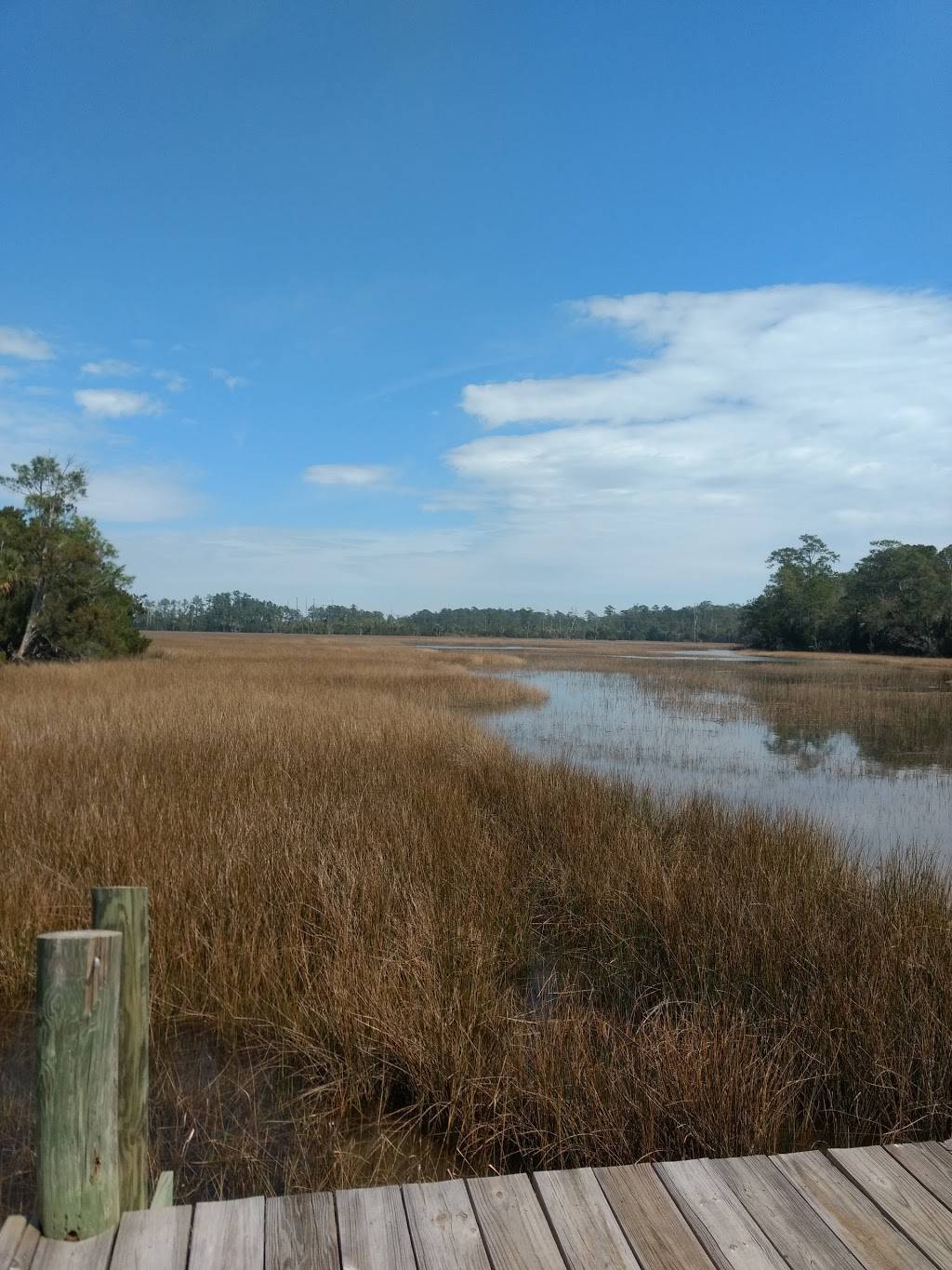 Palmetto Islands County Park | meal takeaway | 444 Needlerush Pkwy, Mt Pleasant, SC 29464, USA | 8437954386 OR +1 843-795-4386