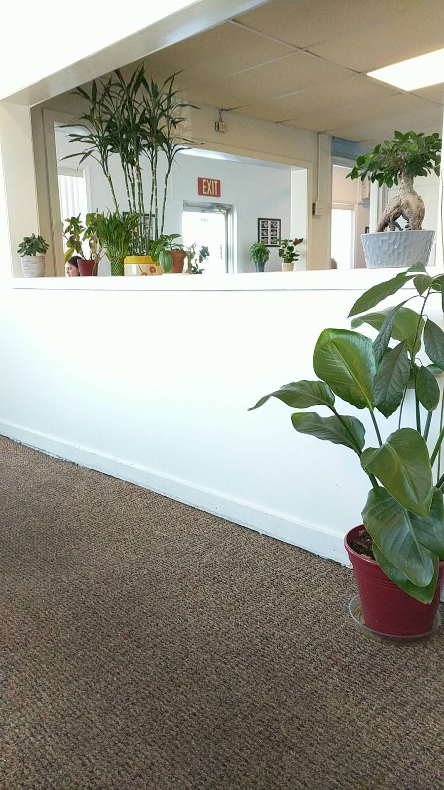 Pho Mekong House of Noodles | restaurant | 601 John St, Utica, NY 13501, USA | 3157977171 OR +1 315-797-7171