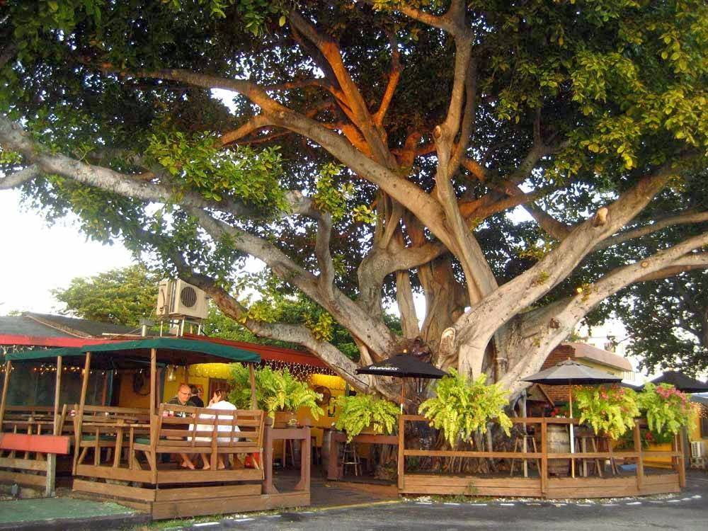 The Field Irish Pub & Eatery | restaurant | 3281 Griffin Rd, Fort Lauderdale, FL 33312, USA | 9549645979 OR +1 954-964-5979