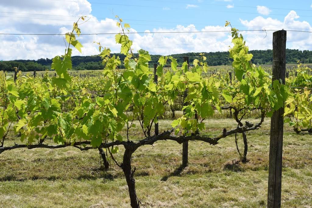 LedgeStone Vineyards | meal takeaway | 6381 WI-57, Greenleaf, WI 54126, USA | 9205324384 OR +1 920-532-4384