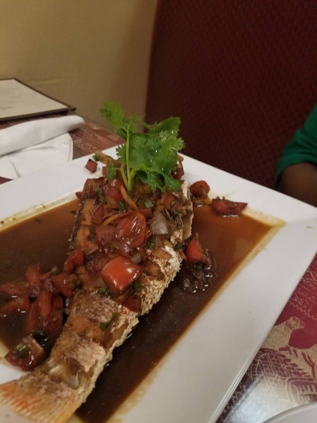 Chai Yo Thai | restaurant | 11695 Boyette Rd, Riverview, FL 33569, USA | 8136774834 OR +1 813-677-4834