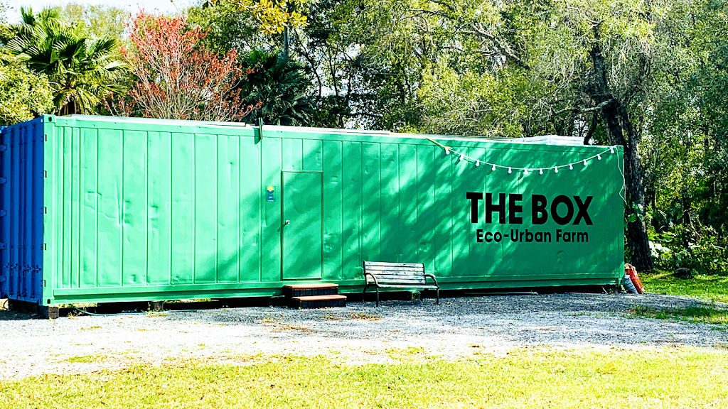 Microgreens from THE BOX | restaurant | 302 SE 24th St Lot#6, Ruskin, FL 33570, USA | 8134165444 OR +1 813-416-5444