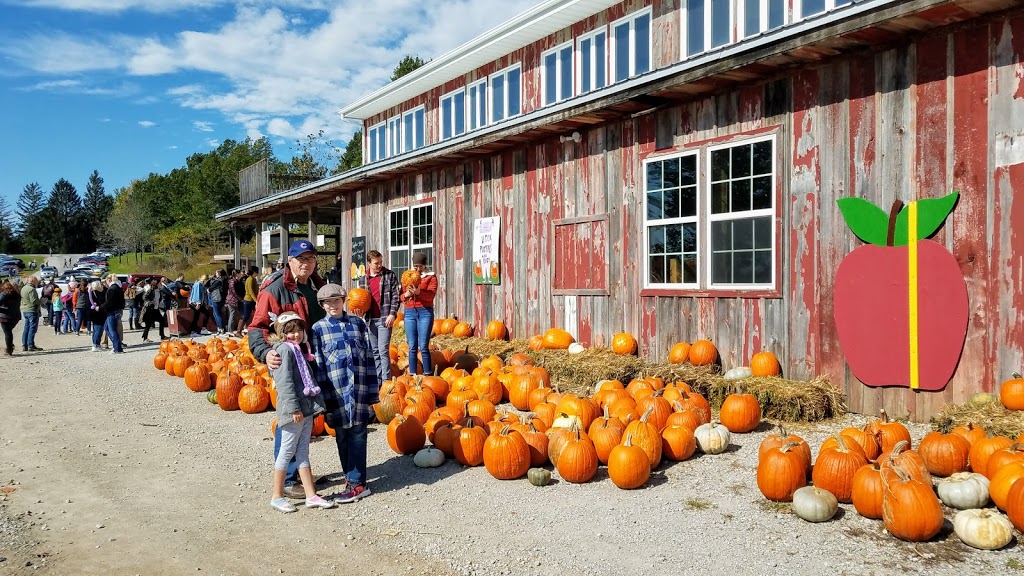 Wilsons Orchard & Farm | bakery | 4823 Dingleberry Rd NE #1, Iowa City, IA 52240, USA | 3193545651 OR +1 319-354-5651