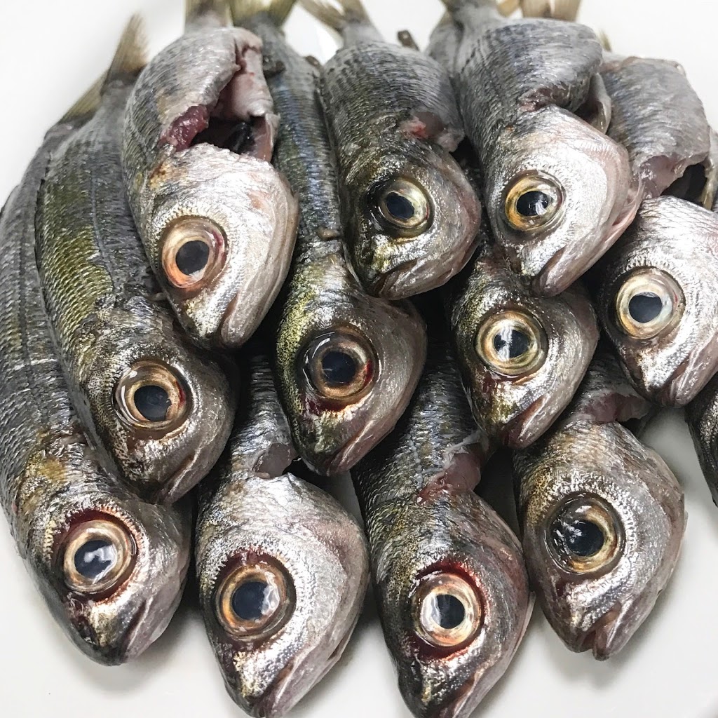 KAVA neo-taverna | restaurant | 315 Shawmut Ave, Boston, MA 02118, USA | 6173561100 OR +1 617-356-1100