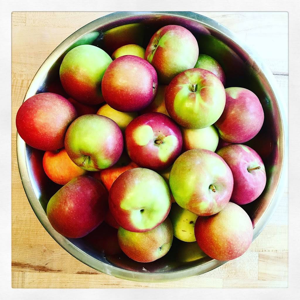 Auntie Dee Dees Homemade Vt Baked Goods | restaurant | 185 Mountain Rd, East Burke, VT 05832, USA | 8025351206 OR +1 802-535-1206