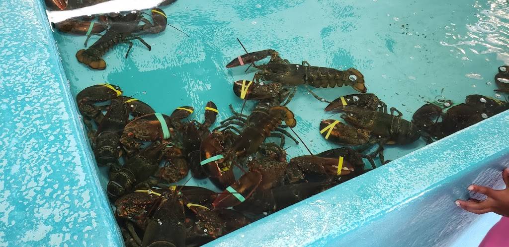 Wells Beach Lobster Pound | restaurant | 321 Webhannet Dr, Wells, ME 04090, USA | 2076467703 OR +1 207-646-7703