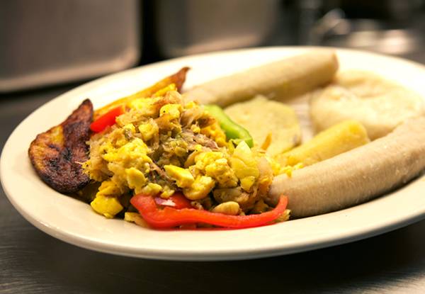 Donnas Caribbean Restaurant | meal takeaway | 2145 N University Dr, Coral Springs, FL 33065, USA | 9549068711 OR +1 954-906-8711