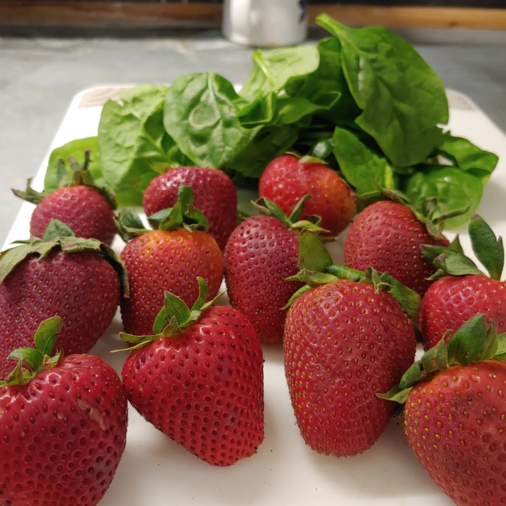 Karma Cleanse Cafe | cafe | 860 High St, Chestertown, MD 21620, USA | 4107781745 OR +1 410-778-1745