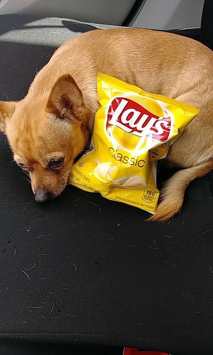 Wendys | restaurant | 23969 Mission Blvd, Hayward, CA 94544, USA | 5105386320 OR +1 510-538-6320