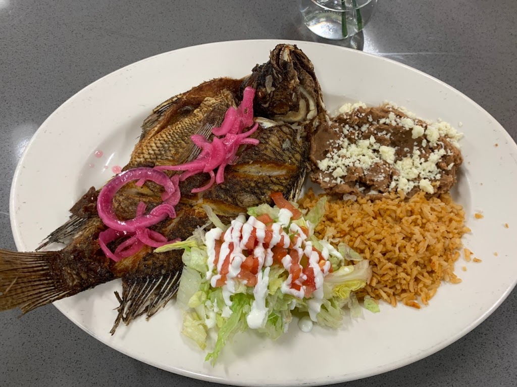 Xochipilli Taco Bar | restaurant | 7213 Balboa Blvd, Van Nuys, CA 91406, USA | 8189222443 OR +1 818-922-2443