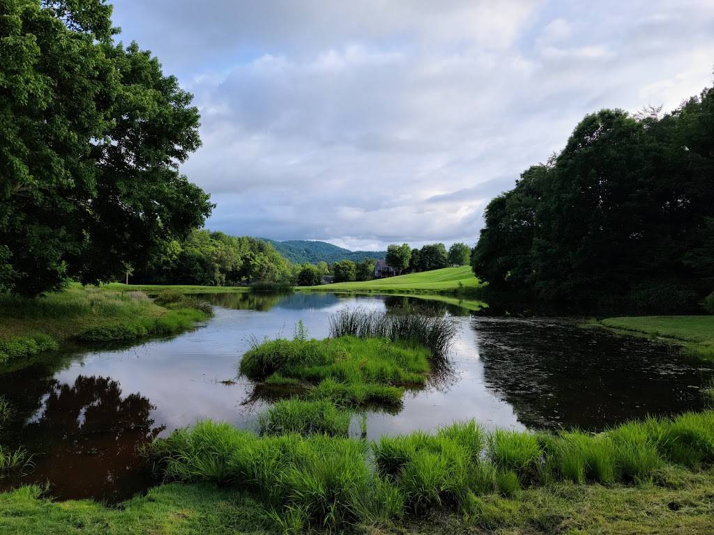 Reems Creek Golf Club | restaurant | 36 Pink Fox Cove Rd, Weaverville, NC 28787, USA | 8286454393 OR +1 828-645-4393