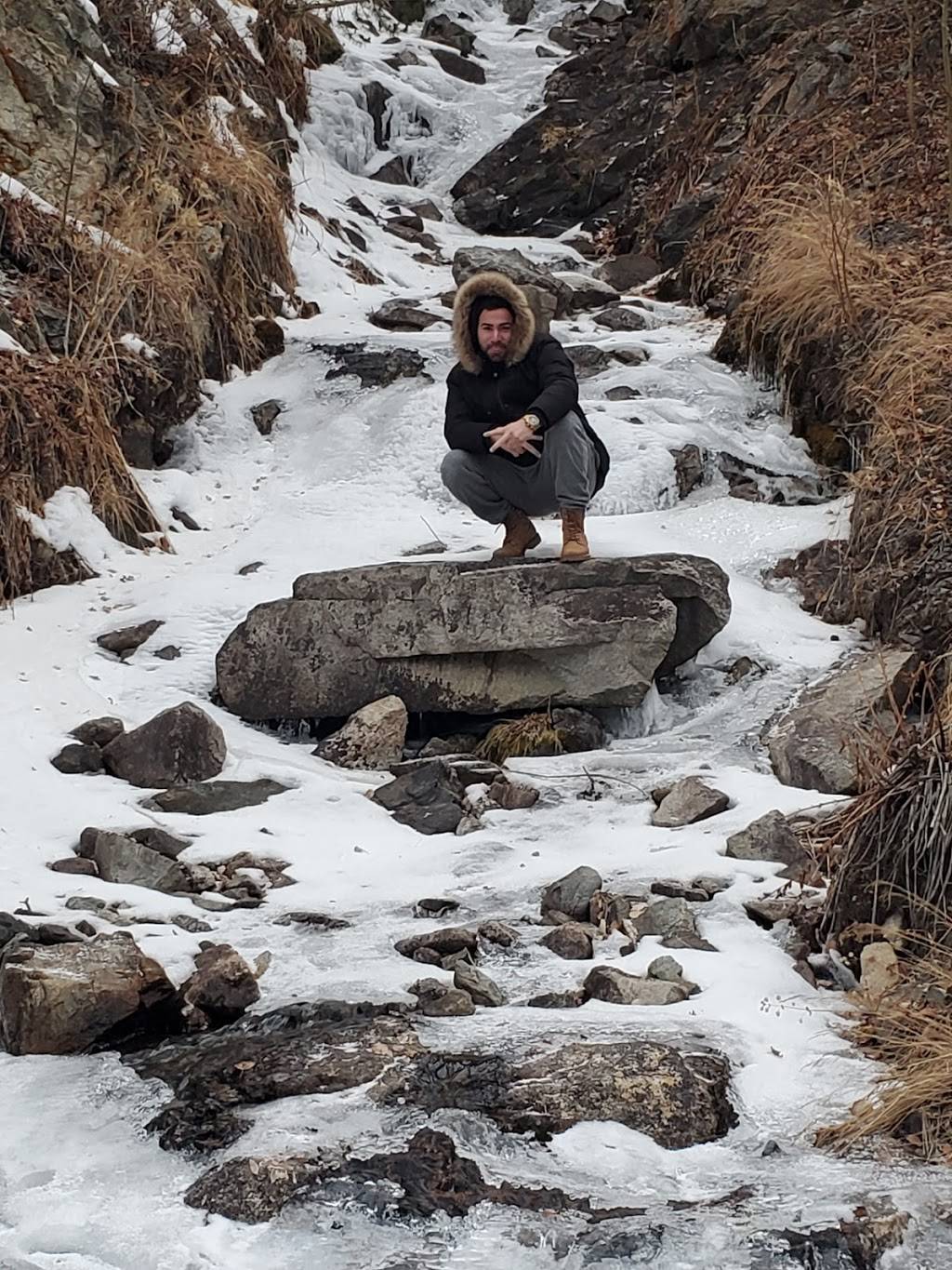 Showboats Drive by Pie | restaurant | 54 1st St, Granby, CO 80446, USA | 9708871111 OR +1 970-887-1111