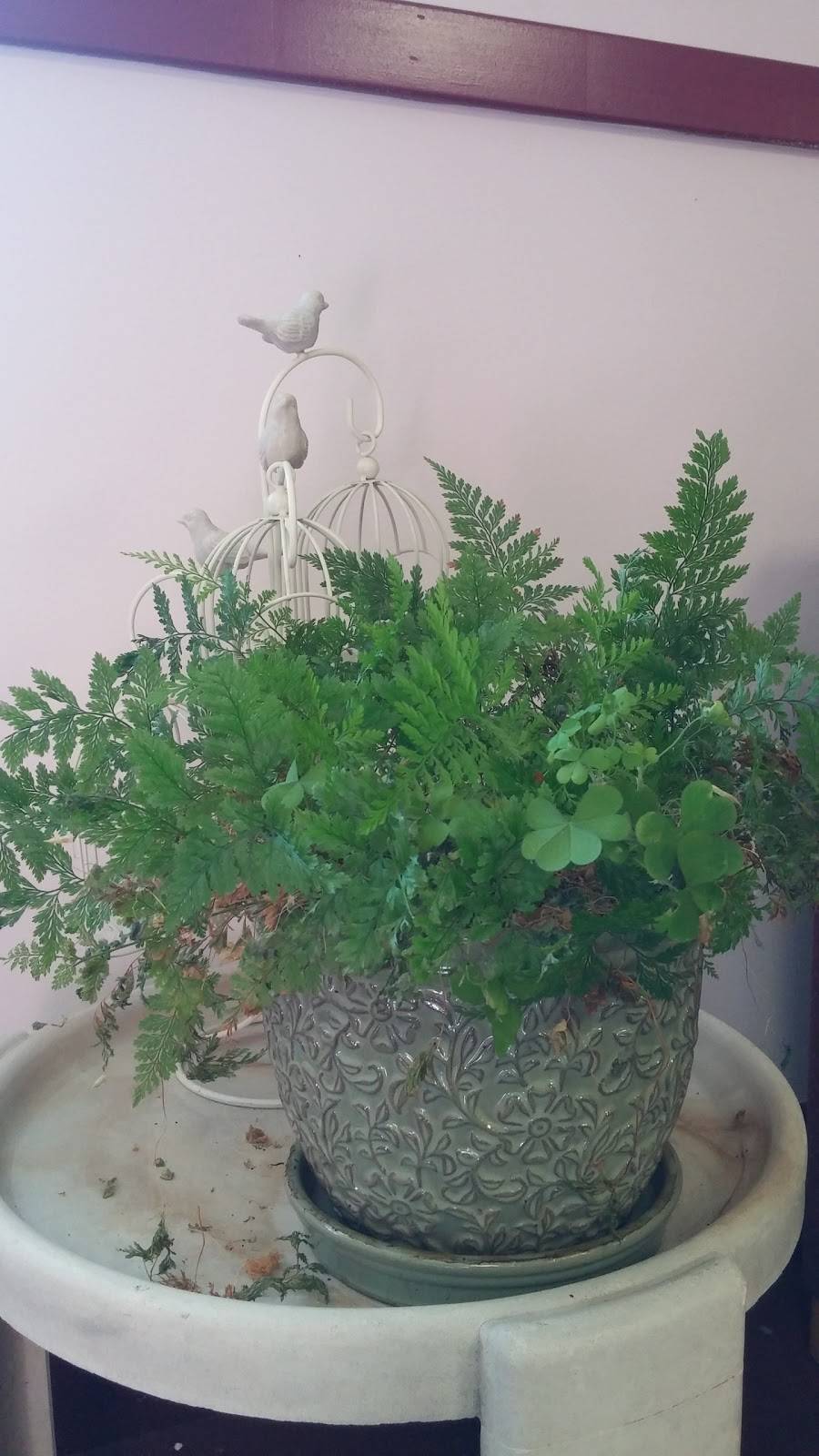 Angelinas Braintree | restaurant | 419 Elm St, Braintree, MA 02184, USA | 7818437827 OR +1 781-843-7827