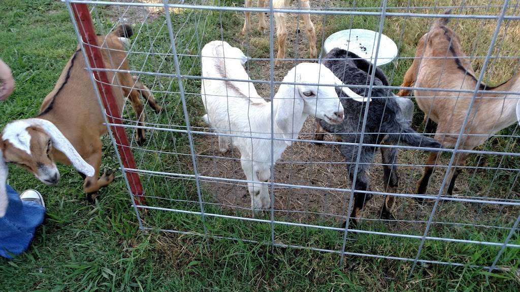 Living Kitchen Farm and Dairy | restaurant | 25198 S 481st W Ave, Depew, OK 74028, USA | 9182848169 OR +1 918-284-8169