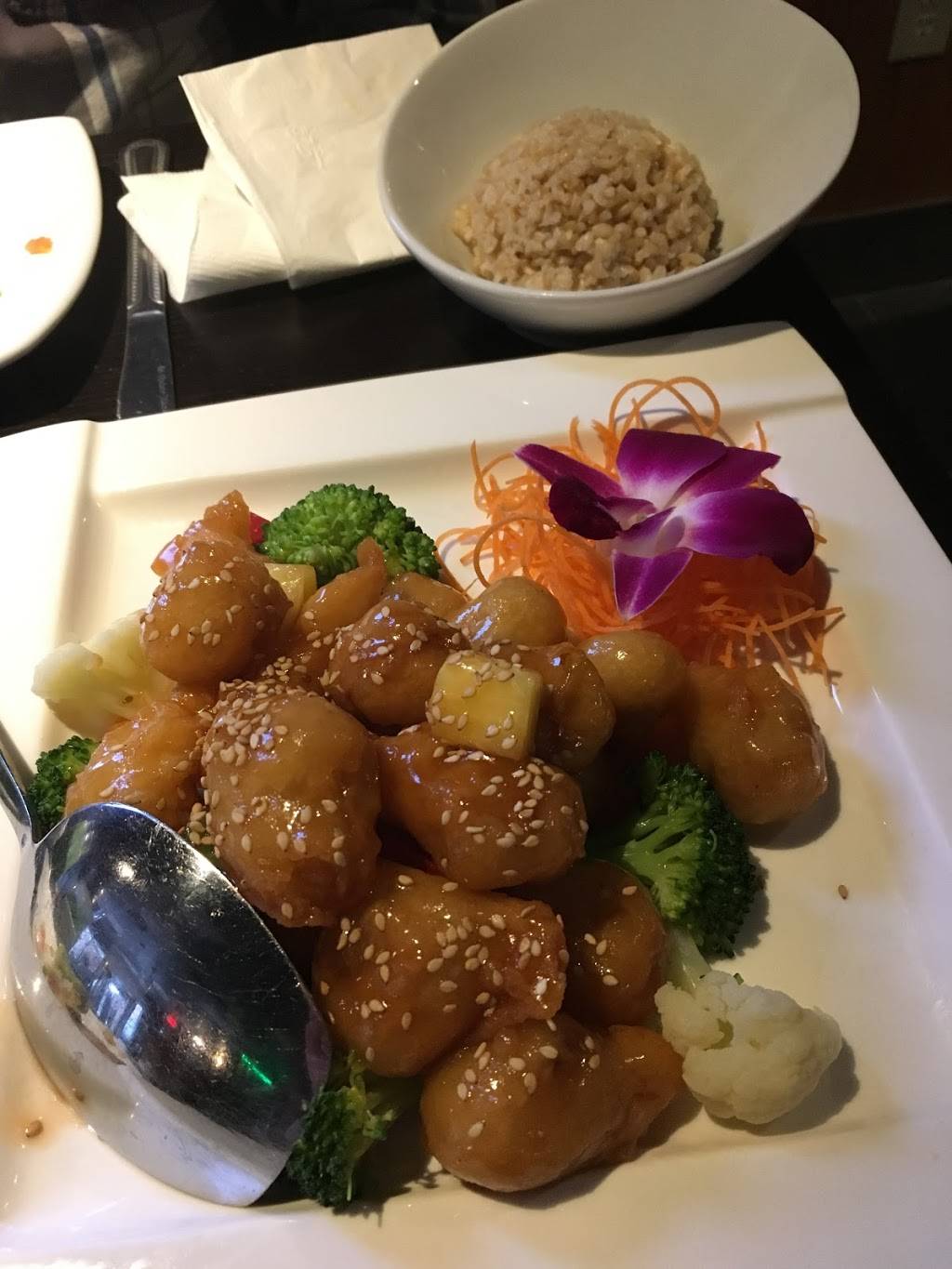 Bayberry cafe | restaurant | 502 Main St, Woburn, MA 01801, USA | 7819351288 OR +1 781-935-1288