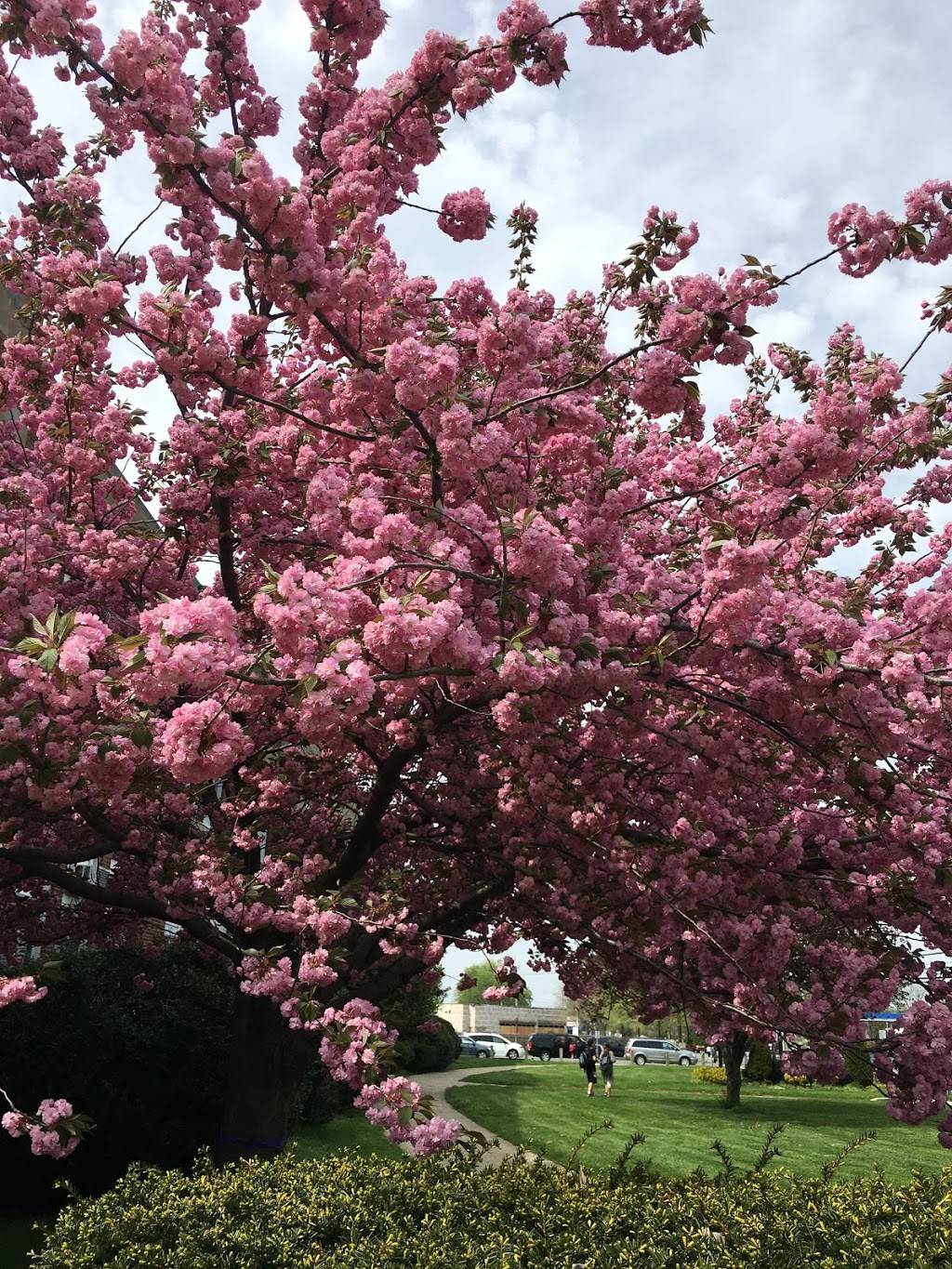 Taku Asian Bistro | restaurant | 100 7th St A, Garden City, NY 11530, USA | 5168779776 OR +1 516-877-9776