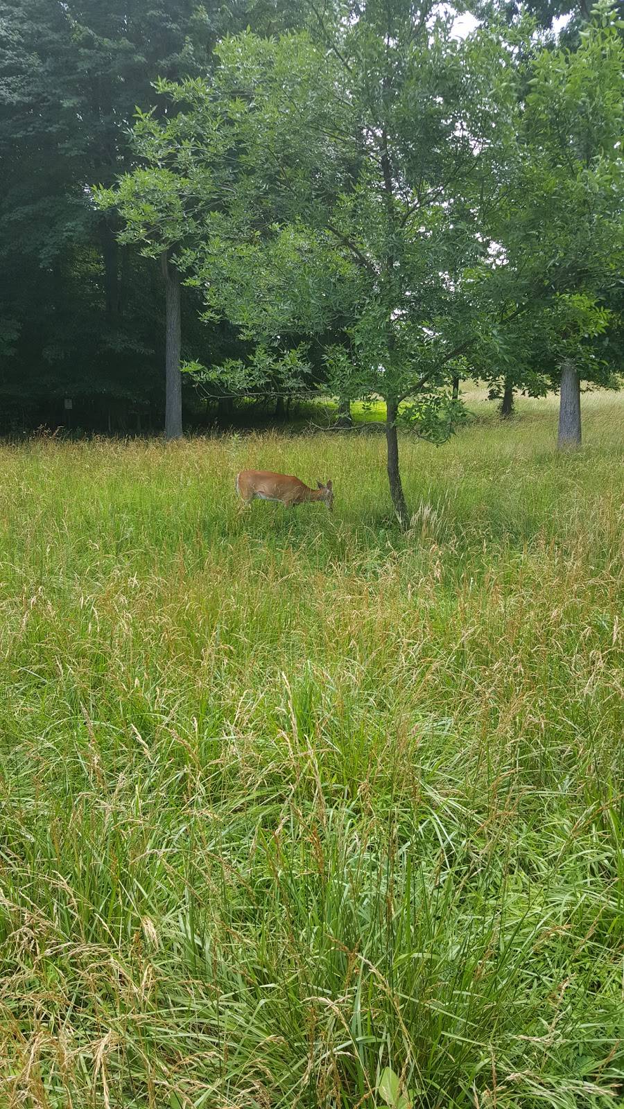 Bulle Rock Golf Course | restaurant | 2003, 320 Blenheim Ln, Havre De Grace, MD 21078, USA | 4109398887 OR +1 410-939-8887