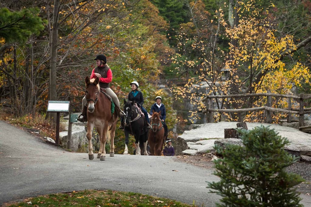 The Cheesecake Factory | restaurant | 251 Geary St, San Francisco, CA 94102, USA | 4153914444 OR +1 415-391-4444