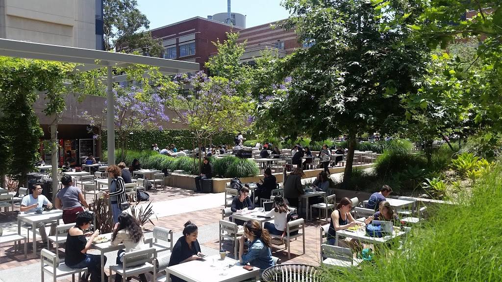 Bombshelter Bistro | restaurant | 617 Charles E Young Dr S, Los Angeles, CA 90095, USA | 3102064773 OR +1 310-206-4773