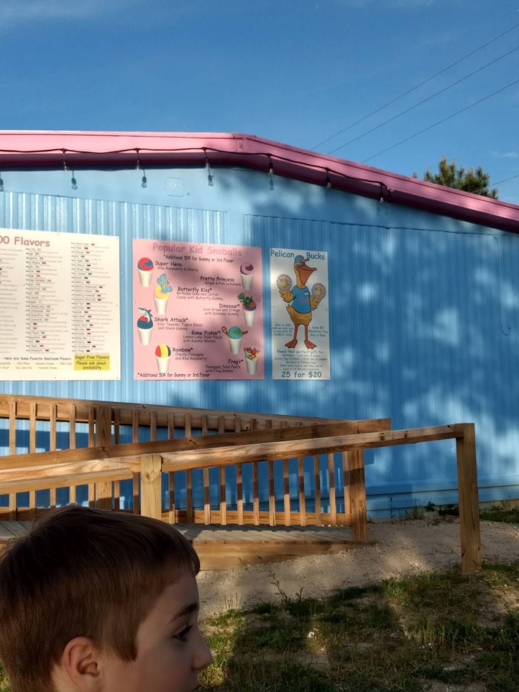 Pelicans Snoballs Red Bank | restaurant | 1848 S Lake Dr, Lexington, SC 29073, USA | 8034138007 OR +1 803-413-8007