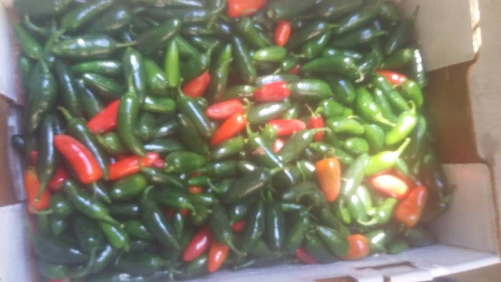 East Buffet | restaurant | 1320 N College Ave, Fayetteville, AR 72703, USA | 4794427498 OR +1 479-442-7498