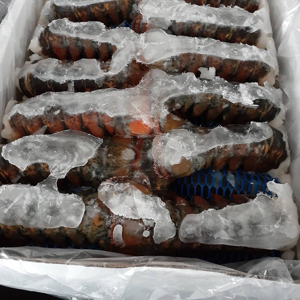 Bgood burgers | restaurant | 1995 Fillmore Ave, Buffalo, NY 14214, USA | 7169315659 OR +1 716-931-5659