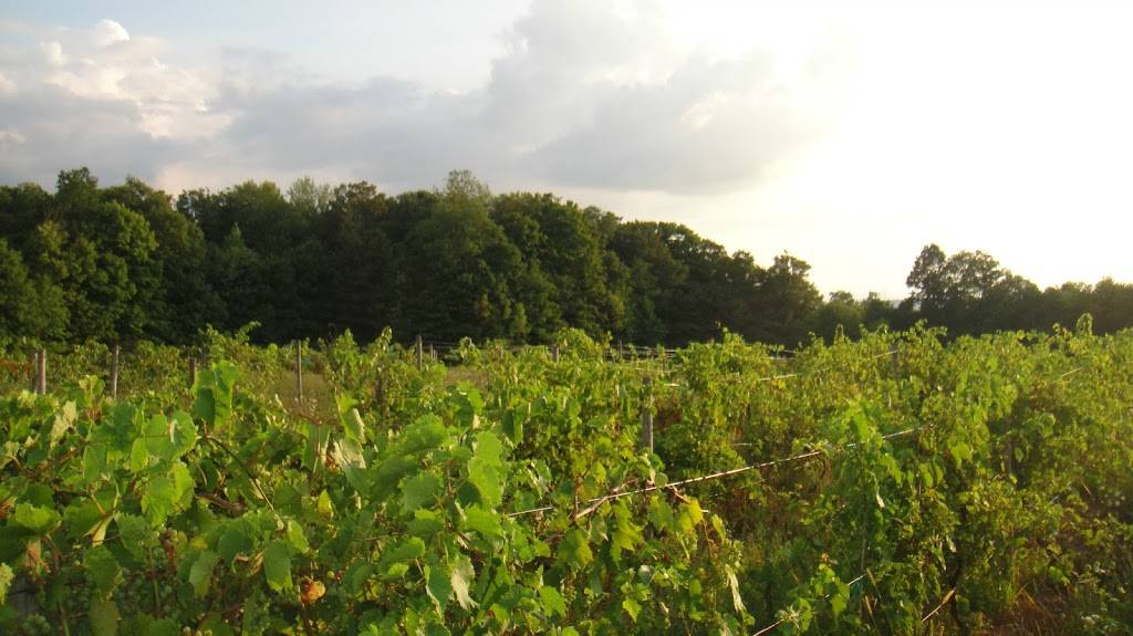 Chateau Dusseau | restaurant | 5292 Erron Hill Rd, Locke, NY 13092, USA | 3154979463 OR +1 315-497-9463