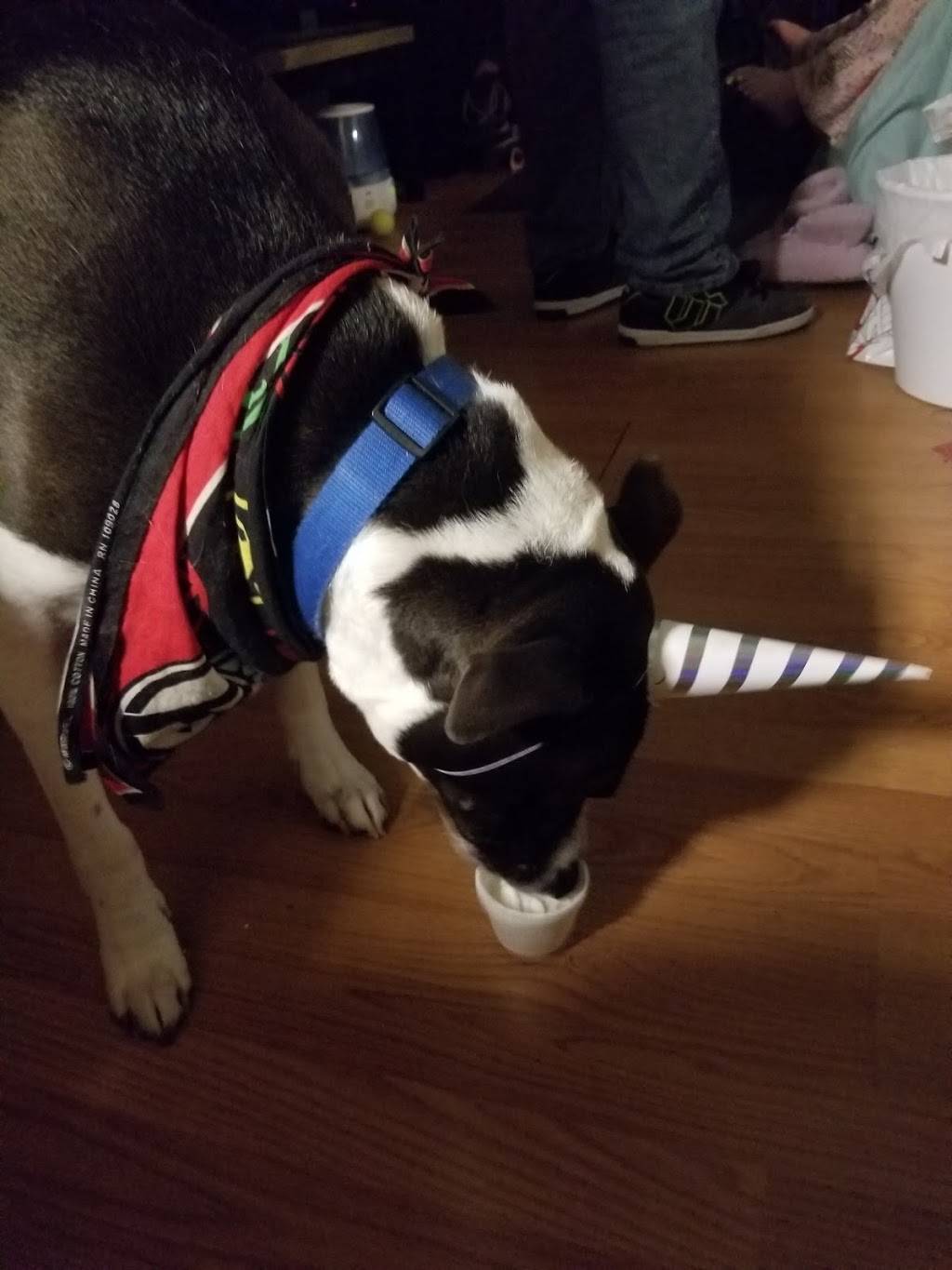 Dairy Queen Grill & Chill | restaurant | 912 Bellefonte Rd, Flatwoods, KY 41139, USA | 6068362831 OR +1 606-836-2831