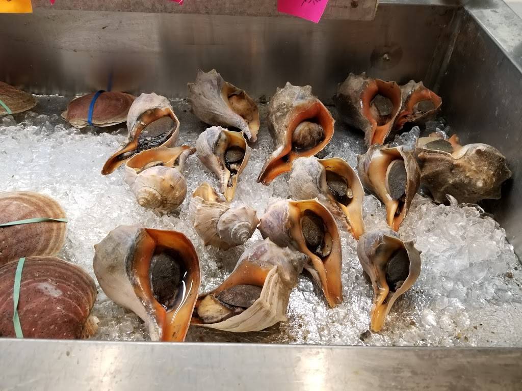 Fresh Qbake | restaurant | 5449 Rosemead Blvd, San Gabriel, CA 91776, USA | 6262859595 OR +1 626-285-9595