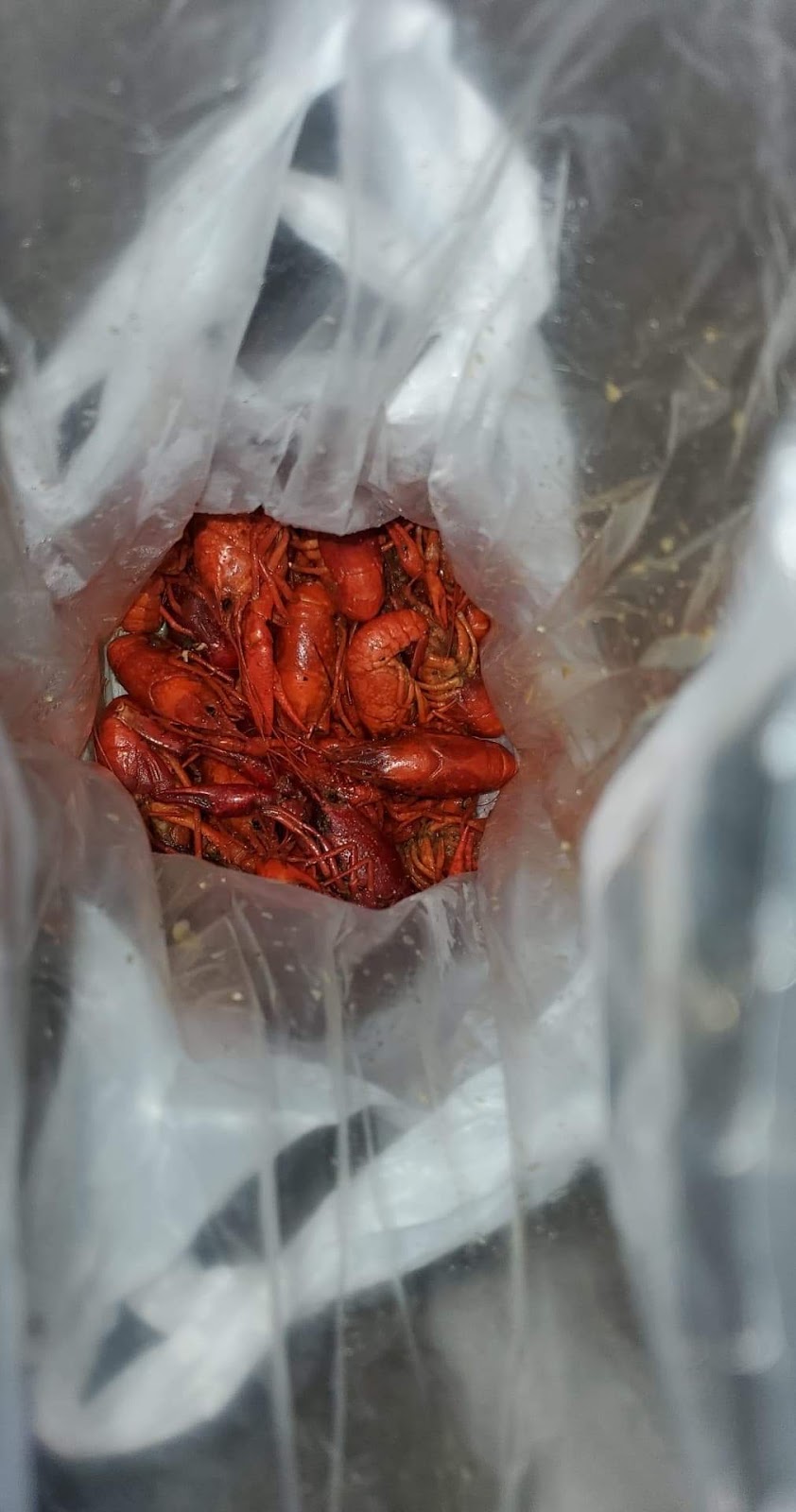 Cajun Corner | restaurant | 7080 Airport Blvd Suite A, Mobile, AL 36608, USA | 2514143062 OR +1 251-414-3062