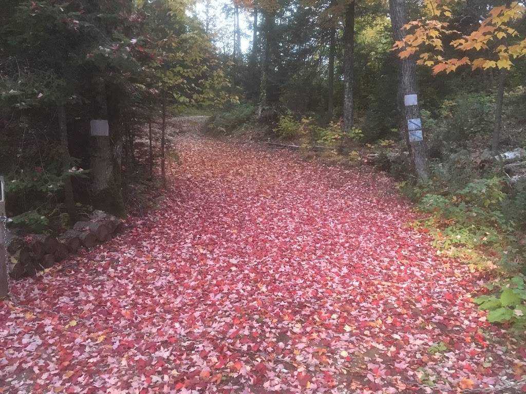 La Nature à l`état Pur Inc. | restaurant | 2563 QC-327, Harrington, QC J8G 2T1, Canada | 5145674858 OR +1 514-567-4858