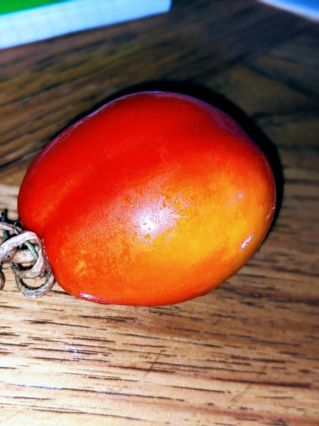 Di Famiglia | restaurant | 310 Oakwood Ave, Troy, NY 12182, USA | 5182331111 OR +1 518-233-1111