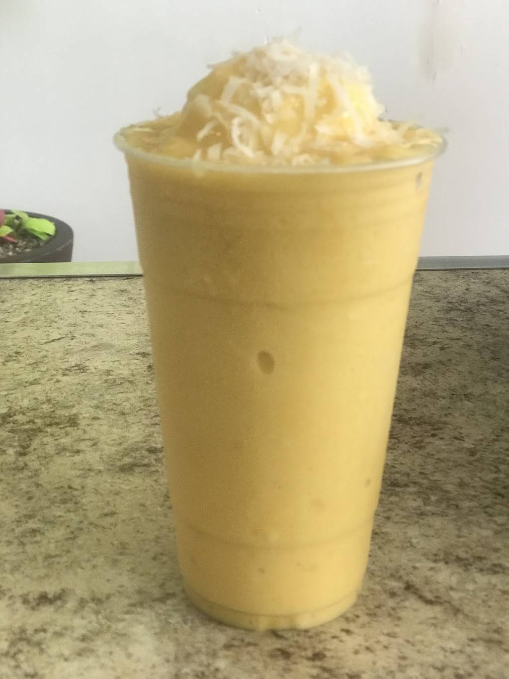 Juice Tree | restaurant | 1892 Grand Ave, Baldwin, NY 11510, USA | 5166082502 OR +1 516-608-2502