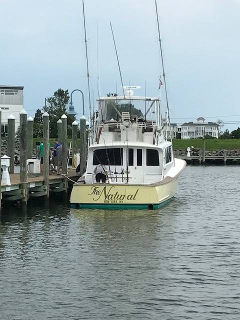 The Natural | restaurant | 533 Deale Rd, Deale, MD 20751, USA | 3017047231 OR +1 301-704-7231