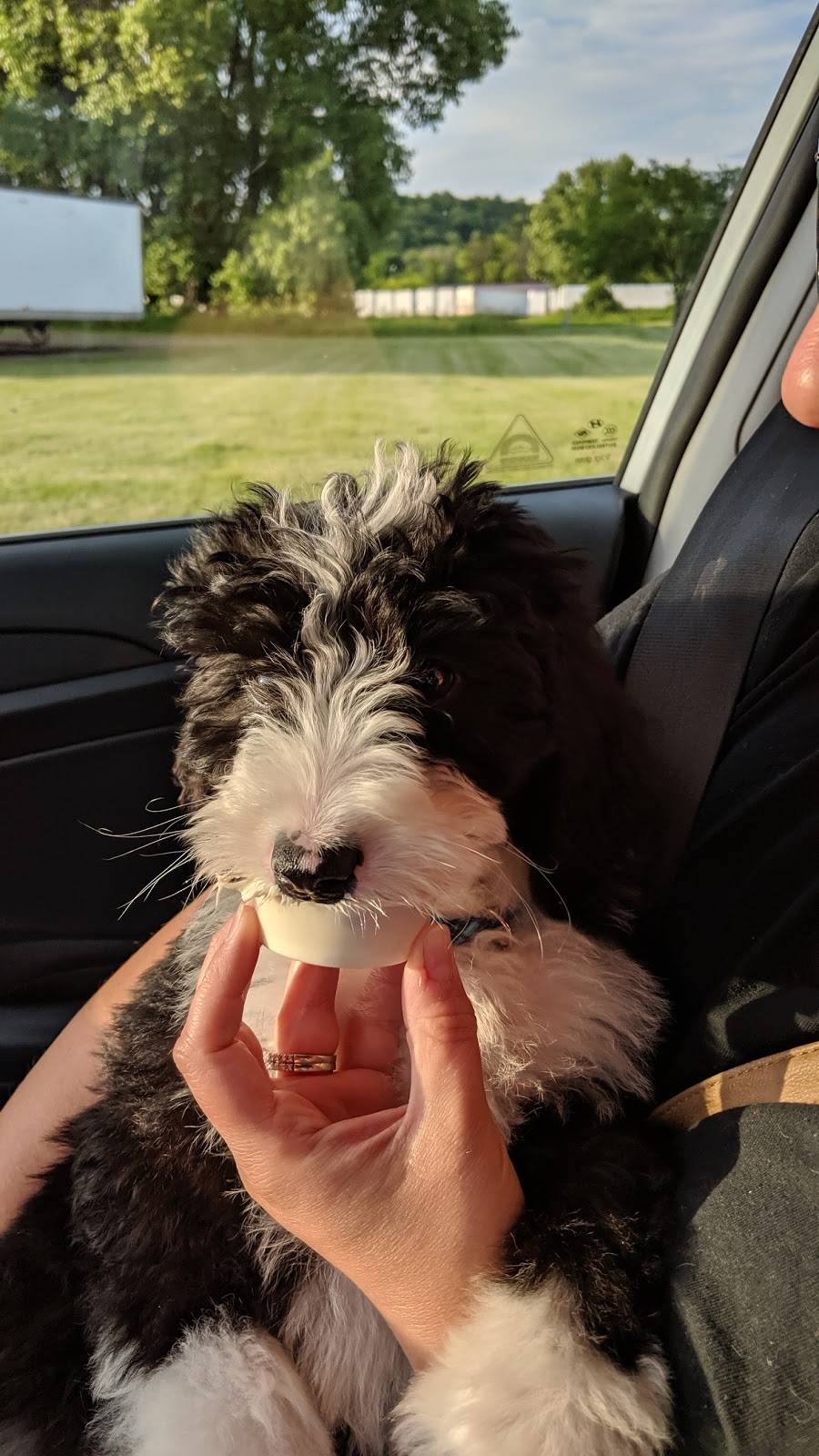 Culvers | restaurant | 1109 N Main St, River Falls, WI 54022, USA | 7156297724 OR +1 715-629-7724